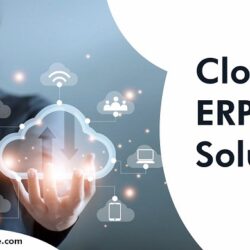 Cloud ERP Solution3