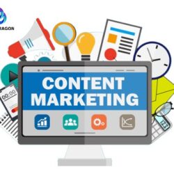 Content Marketing services In Hisar