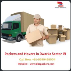 Packers and Movers in Dwarka Sector 19