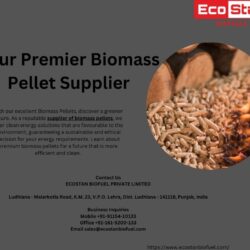 Your Premier Biomass Pellet Supplier