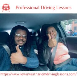 Professional Driving Lessons (1)