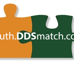 DDSmatch South Logo