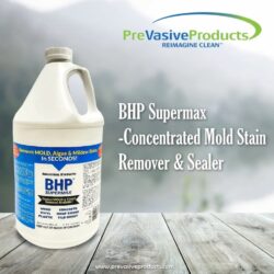 mold cleaner for wood