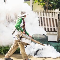 man-is-using-thermal-fog-machine-protect-mosquito-spreading_1150-6242