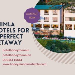 Cozy Comfort Shimla Hotels for a Perfect Getaway