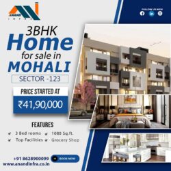 3 BHK Flats for sale in Mohali-Anand infra