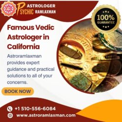Famous Vedic Astrologer in California