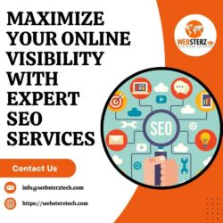Maximize Your Online  Visibility With  Expert  SEO  Services