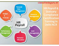 HR Payroll Course in Delhi