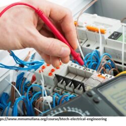 bachelor degree in electrical and electronic engineering