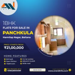 1 BHK Flats for sale in Panchkula-Anand infra