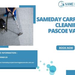 Carpet-Cleaning-Service-pascoe vale