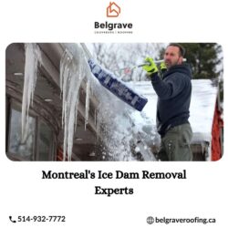 Montreal's Ice Dam Removal Experts