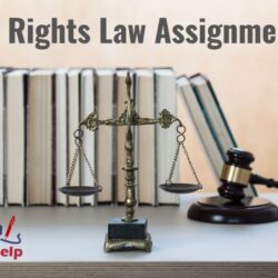 Human Rights Law Assignment help-min