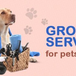 groomingservices
