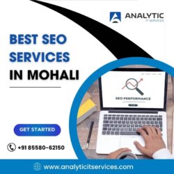 Best SEO Services in Mohali (2) (1)