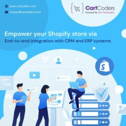 Shopify Plus ERP integration