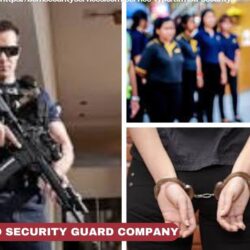 Armed Security Guard Company