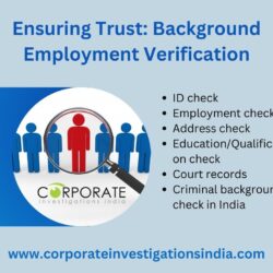 Ensuring Trust Background Employment Verification