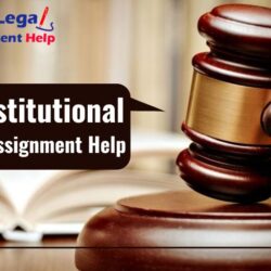 Constitutional Law Assignment Help-min