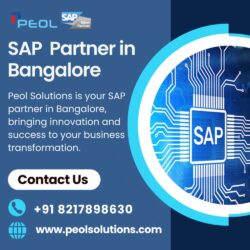 SAP  Partner in Bangalore