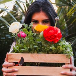 woman-with-box-with-flowers_23-2147768507
