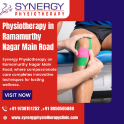 Physiotherapy in Ramamurthy Naga (1)