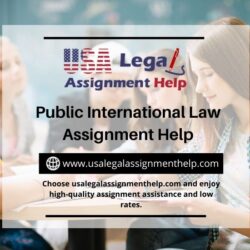 Public International Law Assignment Help 11