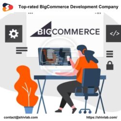 Custom BigCommerce Website Development Services to Grow Your Business