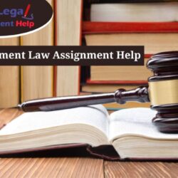 Employment Law Assignment Help-min