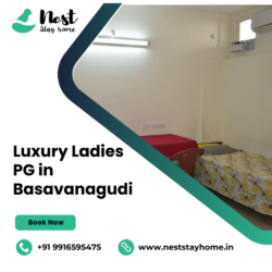 Luxury Ladies PG in Basavanagudi (2)