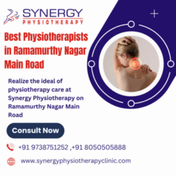 Best Physiotherapists in Ramamur (1)