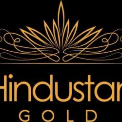 hindustan-gold-ahmedabad-1389197283_large