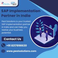 SAP Implementation Partner