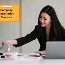 Low-Cost Singapore Company Registration Services
