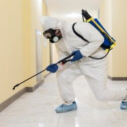 Reliable Pest Control Services in Washington DC