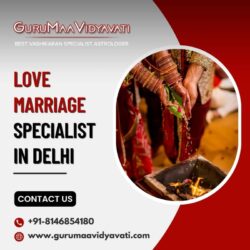 love marriage specialist in Delhi  (1)