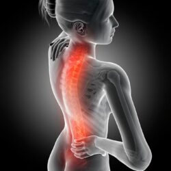 123-human-back-pain-sebastian-kaulitzki