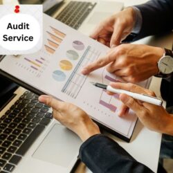 Professional Audit Solutions for Your Businesses