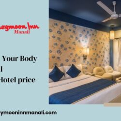 Manali Hotel price per Day