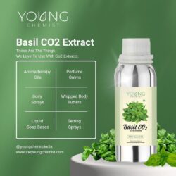 Basil Oil 3