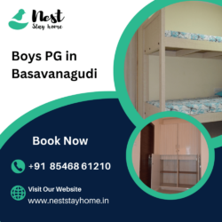 Boys PG in Basavanagudi (1)