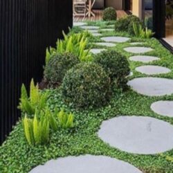 Stepping-stone-garden-pavers