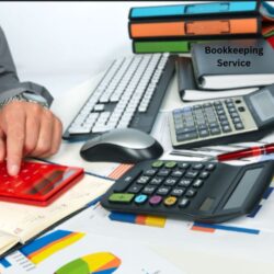 Professional Bookkeeping Solutions for Your Businesses