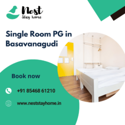 Single Room PG in Basavanagudi (