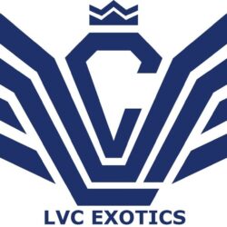 LVC Logo-min