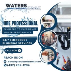 hire professional plumbers to experience higher performance (2)