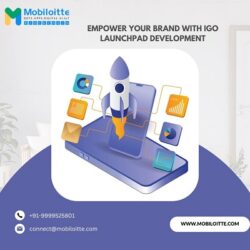 Empower Your Brand with IGO Launchpad Development
