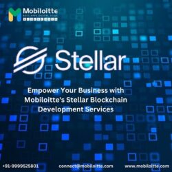 Stellar Blockchain Development Services (1)