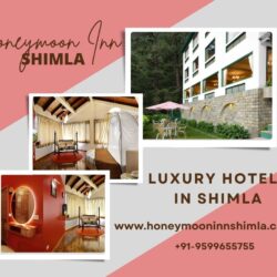 Luxury Hotels in Shimla